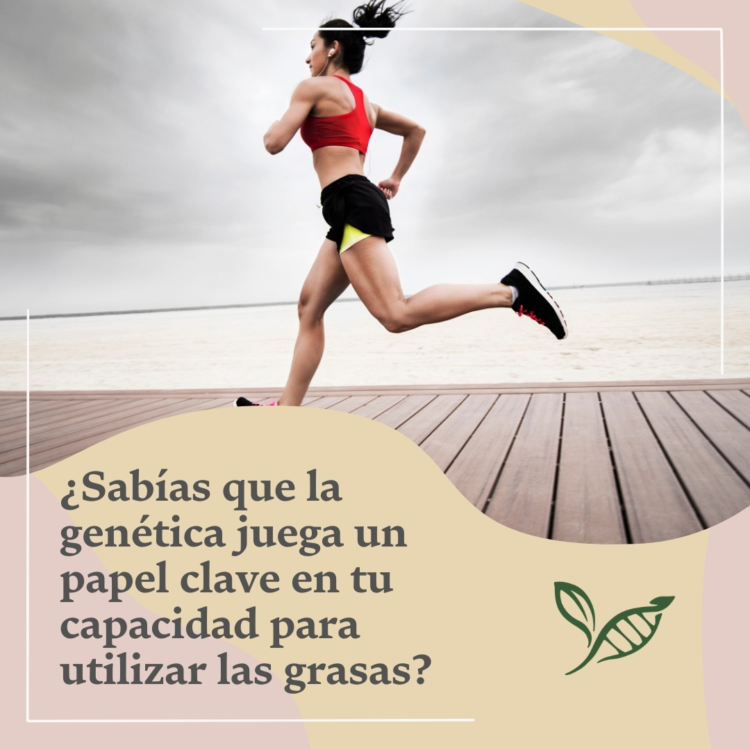 La genética influye en tu capacidad para metabolizar las grasas: nutrigenética aplicada a la salud metabólica