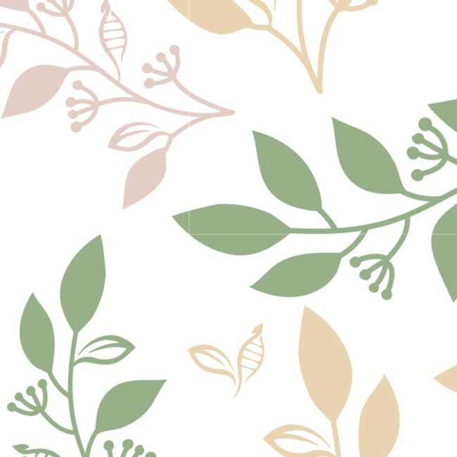 Patrón gráfico institucional de SANA